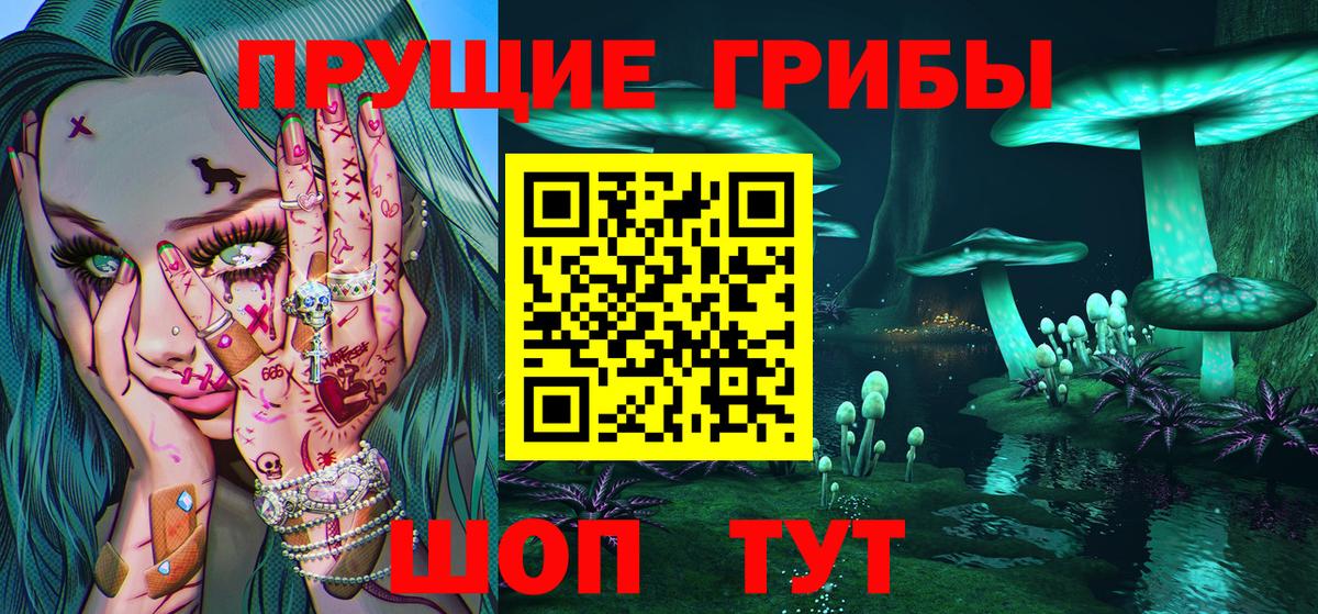 Псилоцибиновые грибы Psilocybe Салехард