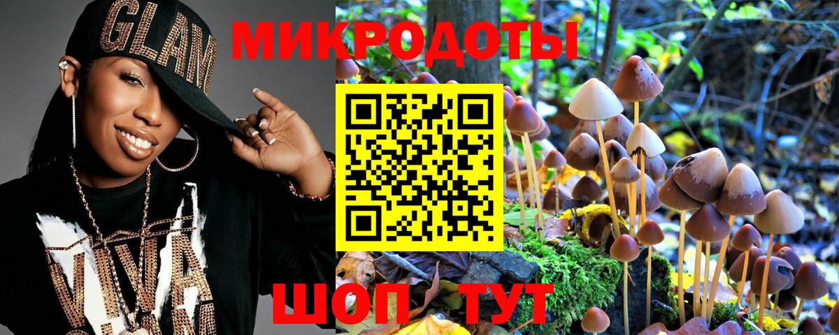 Галлюциногенные грибы ЛСД  Галлюциногенные грибы ЛСД  Вход с VPN  Салехард 